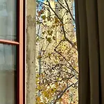 公寓 La Magie De Carnot Meuble De Tourisme 3 Etoiles *