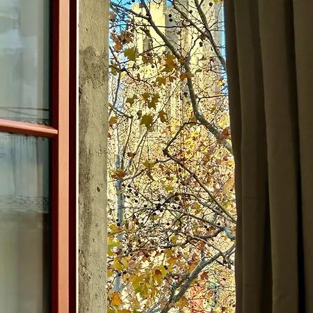 La Magie De Carnot Meuble De Tourisme 3 Etoiles Apartament