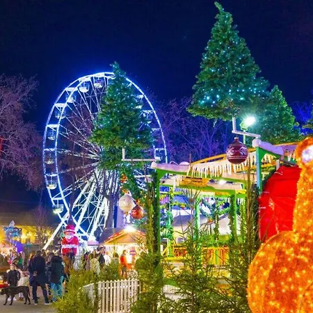 Apartment La Magie De Carnot Meuble De Tourisme 3 Etoiles