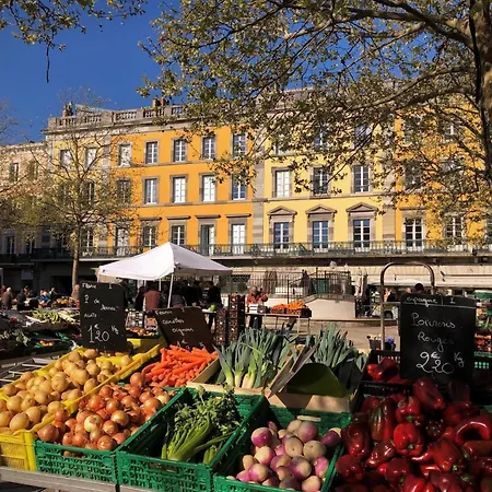 La Magie De Carnot Meuble De Tourisme 3 Etoiles 卡尔卡松