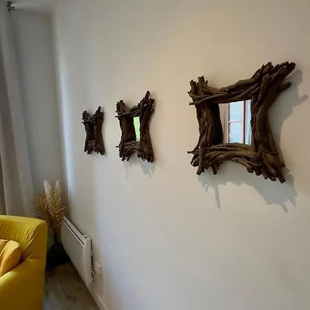 Apartament La Magie De Carnot Meuble De Tourisme 3 Etoiles