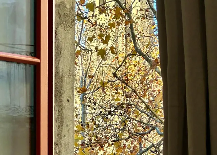 La Magie De Carnot Meuble De Tourisme 3 Etoiles Apartment