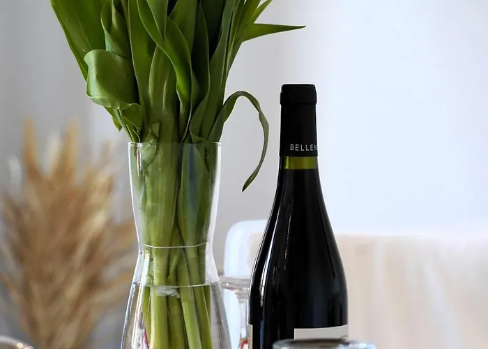 La Magie De Carnot Meuble De Tourisme 3 Etoiles Apartment