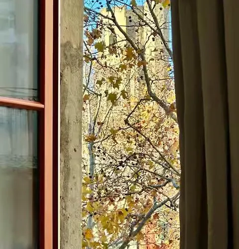 Apartment La Magie De Carnot Meuble De Tourisme 3 Etoiles *