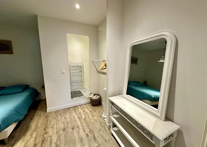 La Magie De Carnot Meuble De Tourisme 3 Etoiles Apartment Carcassonne